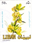 Stamps Lebanon -  FLORES- VINETTE DEL LIBANO