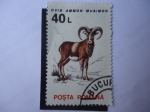 Stamps Hungary -  S/hungría:4995