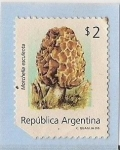 Sellos de America - Argentina -  Morchella Esculenta