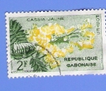 Sellos del Mundo : Africa : Gabon : CASSIA JAUNE