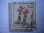 Sellos de Europa - Checoslovaquia -  Flora - Michel N°1236 - Yvert N°1117.