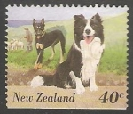 Stamps New Zealand -  Australian Shepherd (Canis lupus familiaris)