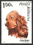 Sellos de Europa - Rumania -  Cocker-Spaniel