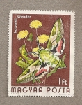 Stamps Hungary -  Mariposa Celerio euphorbia