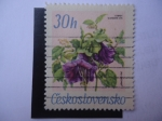 Stamps Czechoslovakia -  Cobaea Scandens Cav. - Jirincova 967.