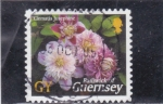 Sellos de Europa - Reino Unido -  FLORES DE GUERNSEY