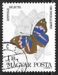 Stamps Hungary -  Mariposa