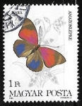 Stamps Hungary -  Mariposa