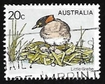 Stamps Australia -  Little Grebe