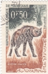 Stamps Africa - Mauritania -  Yena rayada