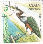 Stamps Cuba -   ave- BRASILIANA'89