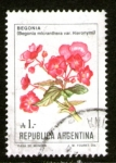 Sellos de America - Argentina -  16 begonia 16