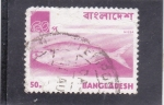 Stamps Bangladesh -  Pez