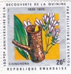 Stamps Rwanda -  150 Aniversario descubrimiento de la quinina