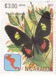 Stamps Nicaragua -  Mariposa