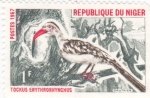Stamps Africa - Niger -  ave Tockus