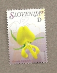 Stamps Slovenia -  Flora eslovena