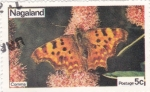 Stamps Nagaland -  Mariposa