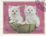 Stamps United Arab Emirates -  gatitos