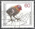 Stamps Germany -  Protege los animales.Ganso Común ( Fulica Atra).