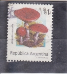 Sellos de America - Argentina -  setas- Amanita muscaria