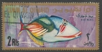 Sellos de Asia - Emiratos rabes Unidos -  Umm Al Qiwain - Rhinecanthus aculeatus (1967)