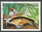 Sellos de America - Nicaragua -  Skunk Corydoras Catfish (Corydoras arcuatus) (1981)