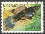 Sellos de America - Nicaragua -  Guppy (Poecilia reticulata) (1981)