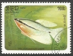 Sellos de Asia - Camboya -  Pearl Gourami (Trichogaster leeri) (1985)