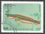 Stamps Cambodia -  Giant Snakehead (Channa micropeltes) (1985)