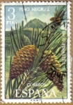 Stamps Spain -  PINO NEGRAL - Flora Hispanica