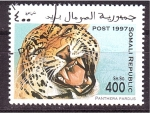 Stamps Somalia -  serie- Felinos