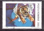 Stamps Romania -  El tigre en el circo