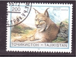 Stamps Tajikistan -  Lince