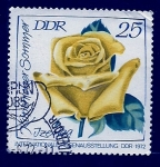 Stamps : Europe : Germany :  Rosa