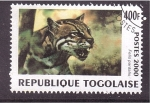 Sellos de Africa - Togo -  serie- Felinos