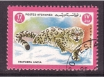 Stamps Afghanistan -  Leopardo de las nieves