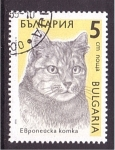 Sellos de Europa - Bulgaria -  serie- Gatos