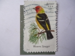 Stamps United States -  Western Tanager. (Piranga ludoviciana)