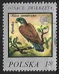 Sellos de Europa - Polonia -  Falcon tinnunculus