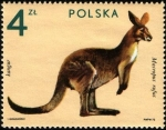 Stamps Poland -  Animales de Zológico