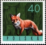 Stamps Poland -  Animales