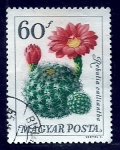 Stamps Hungary -  Rebulia Calliantha