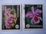 Stamps Venezuela -  Orquídeas de Venezuela,.