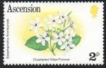 Stamps United Kingdom -  RACIMO  FLOR  DE  CERA