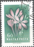 Stamps Hungary -  Flores.Sand Saffron (Colchicum arenarium).