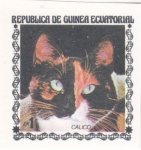 Sellos de Africa - Guinea Ecuatorial -  GATO- CALICO