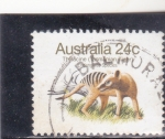 Stamps : Oceania : Australia :  TIGRE DE TASMANIA