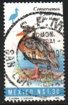 Stamps Mexico -  CONSERVEMOS  EL  PATO  PIJIJI  DE  ALA  BLANCA