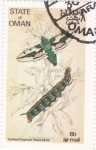 Stamps Oman -  mariposa- metamorfosis